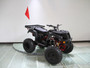 RPS 200cc Utility ATV Fully Automatic with Reverse, Hydraulic Disc Brake