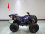 RPS 200cc Utility ATV Fully Automatic with Reverse, Hydraulic Disc Brake