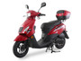 2025 Model Ice Bear Cali (PMZ50-2) 50cc Scooter  Automatic CVT, LED Lights, Digital Speedometer