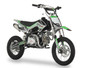 Ice Bear Roost 125cc Semi-Auto Pit Bike – HS Engine, Hydraulic Disc Brakes