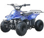 Coolster 3050C A-Tumbleweed-Hd Youth Atv, Honda Clone, 110Cc Air Cooled, Single Cylinder, 4-Stroke Assembled Version ATV