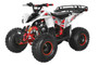 TrailMaster F125A Youth ATV, 125Cc, 4-stroke, 8" wheel, Automatic with Reverse, electric start Assembled Version