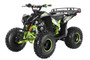 TrailMaster F125A Youth ATV, 125Cc, 4-stroke, 8" wheel, Automatic with Reverse, electric start Assembled Version