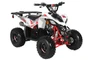 TrailMaster R110 ATV – 107cc Youth 4-Stroke ATV
