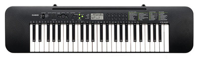 CASIO Electronic Keyboard (CTK240)