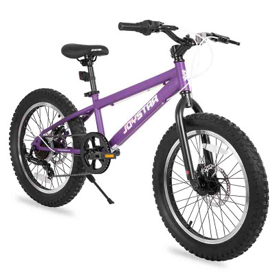 JOYSTAR 20"Bicycle (Purple) (BIKE069PL-20)