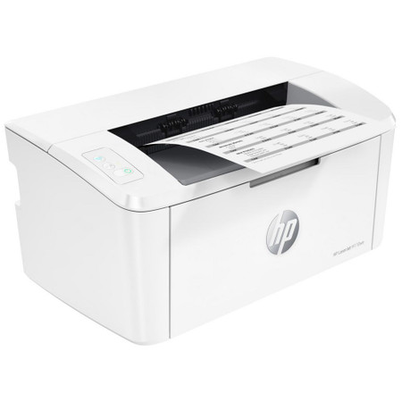 HP Mono Wireless Laser Printer (M110w)