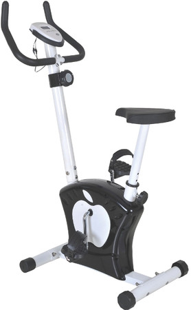 IRON PRO Exercise Bike (EB03)