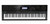 CASIO Electronic Keyboard (WK-7600)