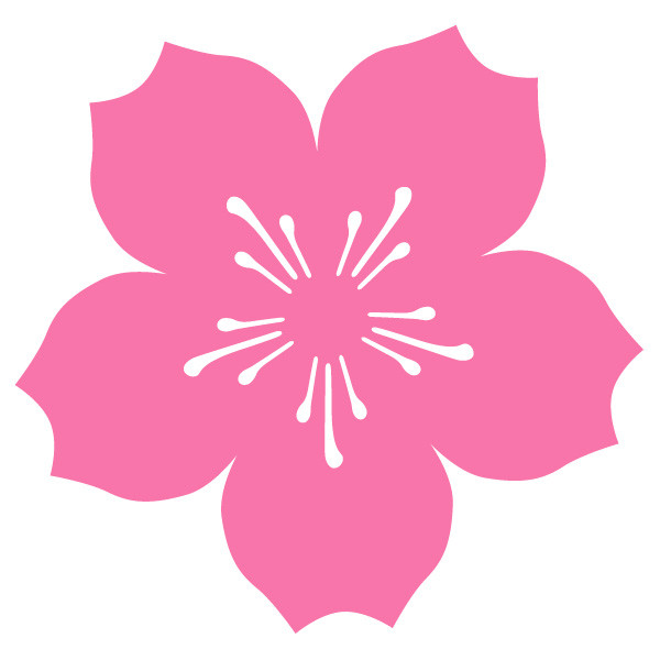 Wallpaper Cherry Blossom Car Magnet Logo Vision Llc Desktop Wallpaper Free