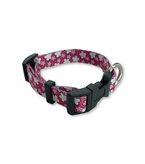 NCBF Animal Collar 12"
