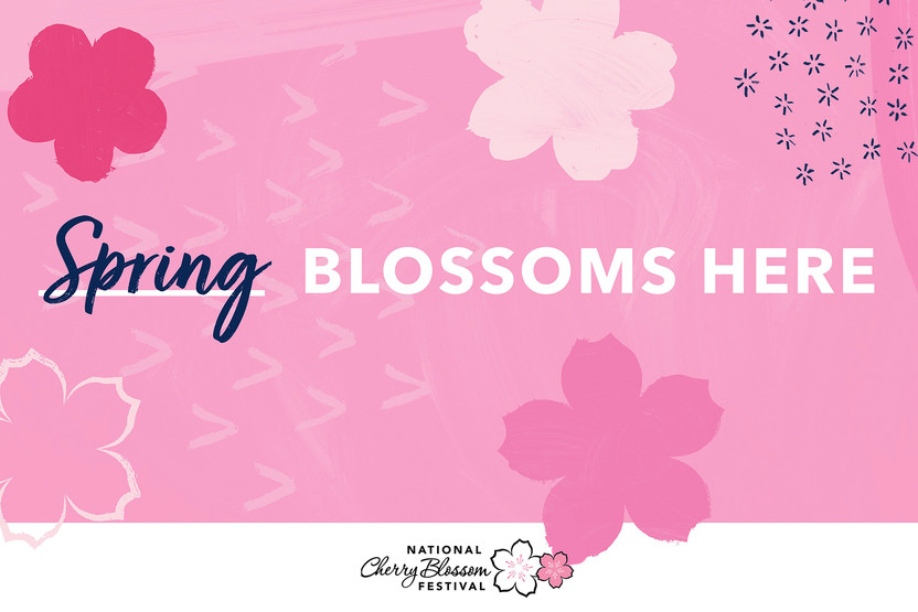 Spring Blossoms Here: 2020 National Cherry Blossom Festival Looks Ahead to Spring Spring Blossoms Here: 2020 National Cherry Blossom Festival Looks Ahead to Spring