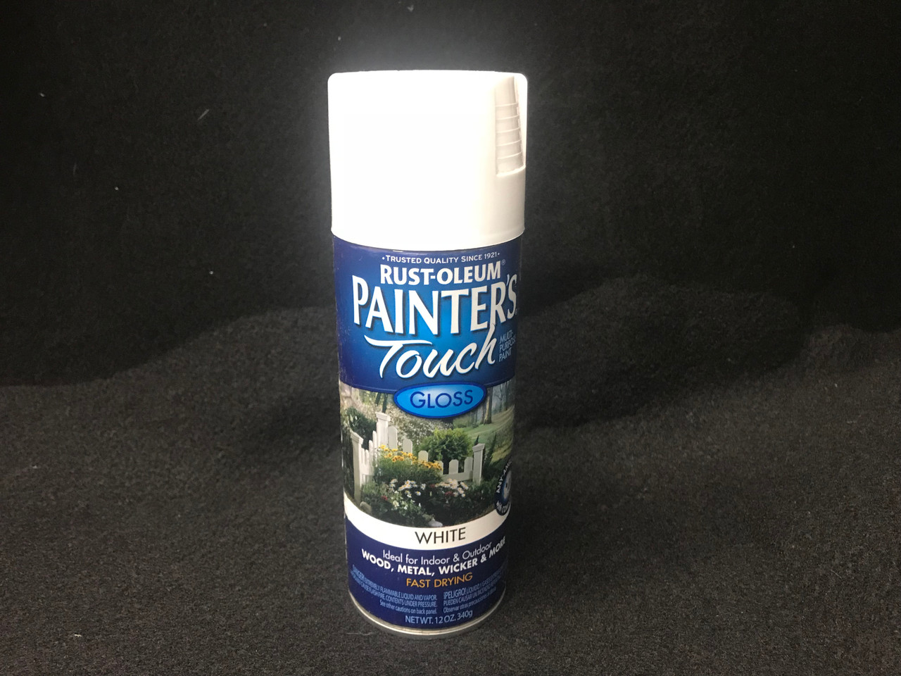 Rustoleum Painter's Touch Gloss White