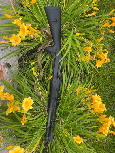 PANZER M4 CUSTOM Heat Shield +Ranger Bands® Mod Shotgun CUSTOM Fit PANZANELLI