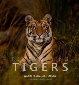 Remembering Tigers - Standard Edition Remembering Tigers - Standard Edition