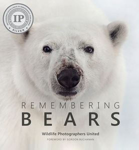 Remembering Bears - Standard Edition