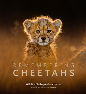 Remembering Cheetahs - Standard Edition - 'Back In Stock' Remembering Cheetahs - Standard Edition - 'Back In Stock'