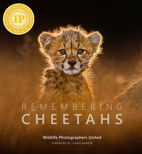 Remembering Cheetahs - Standard Edition - 'Back In Stock'