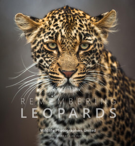 Remembering Leopards - Standard Edition Remembering Leopards - Standard Edition