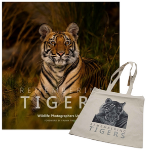 Remembering Tigers - Standard Edition - With Tote Bag Remembering Tigers - Standard Edition - With Tote Bag