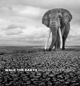 Walk The Earth by Federico Veronesi