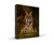 Remembering Tigers - Standard Edition