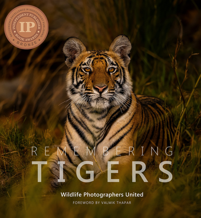 Remembering Tigers - Standard Edition
