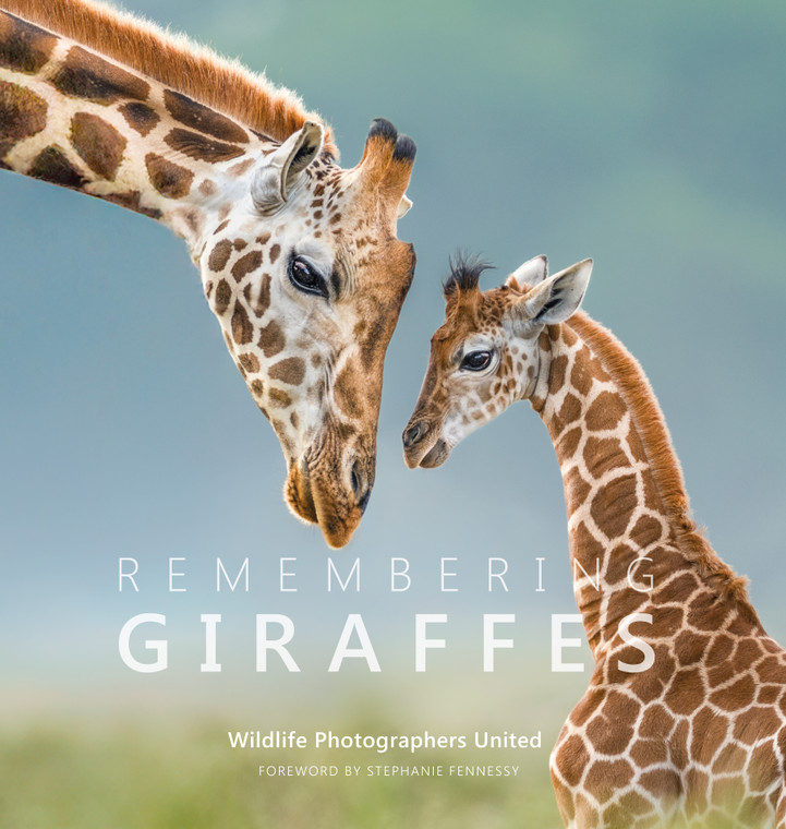 Remembering Giraffes - Standard Edition