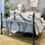 Mitchell Wrought Iron Bed