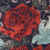 Floral Botanica Cushion 50x50cm - Ruby & Aqua