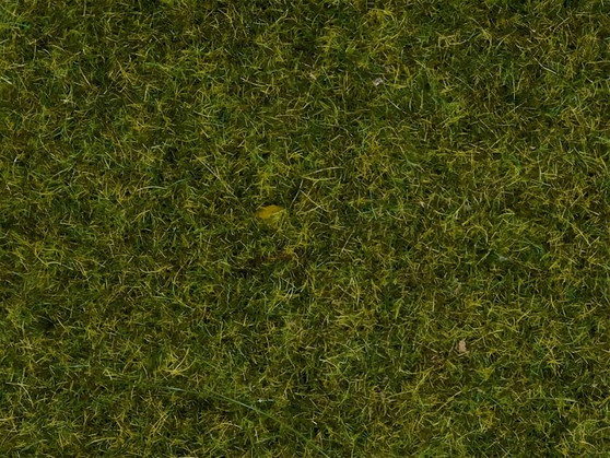 NOCH 08152 Scatter Grass 2,5mm “Meadow”(HO)120gr