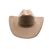 JUSTIN  BENT RAIL DYLAN 6X FAWN - HAT FELTS  - JF0657DYLA44
