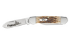 CASE AMBER PEACH SEED BROWN - ACC KNIVES  - 00263