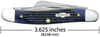 CASE MEDIUM STOCKMAN ROGERS BLUE - ACC KNIVES  - 02801