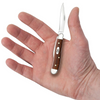 CASE SMOOTH CHESTNUT BONE PEANUT - ACC KNIVES  - 28702