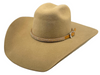 CACTUS RANCH BROWN HATBAND SMALL STONES - HATS ADD-ONS  - HB1011BRN