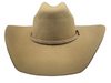 CACTUS RANCH BROWN HATBAND SMALL STONES - HATS ADD-ONS  - HB1011BRN