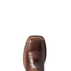 ARIAT PENDLETON CIRCUIT SAVANNA CAFE - BOOT LADIES  - 10038476