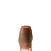 ARIAT ROUND UP RYDER BROWN - BOOT LADIES  - 10053730