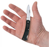 CASE EXECUTIVE LOCKBACK STAINLESS - ACC KNIVES  - 00156