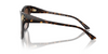 JIMMY CHOO BUTTERFLY HAVANA TURTOISE - SUNGLASS JIMMY CHOO  - 5012500213