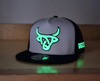 LOST CALF BLUE/GREY GLOW IN THE DARK - HATS CAP  - NOVA FLAT