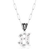 MONTANA SILVERSMITHS WESTERN INITIAL NECKLACE B - ACCESSORIES JEWELRY NECKLACE - NC6096-B