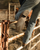 TECOVAS THE DUSTY CIGAR COWHIDE - BOOT MENS WESTERN - M10089CIG