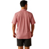 ARIAT ALL OVER SCOOTER RED PRINT - MENS POLO  - 10058782