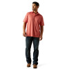 ARIAT CHARGER 2.0 CHRYSANTHEMUM - MENS POLO  - 10058791