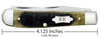 CASE OLIVE GREEN BONE SAWCUT TRAPPE - ACC KNIVES  - 39230