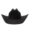 CHARLIE 1 HORSE THE COWGIRL HAT BLACK - HATS WOOLS  - CWCWHT-724207