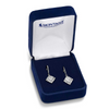 MONTANA SILVERSMITHS BEARTOOTH BRILLIANCE - ACCESSORIES JEWELRY EARRINGS - ER6384