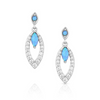 MONTANA SILVERSMITHS DANCING IN THE RAIN - ACCESSORIES JEWELRY EARRINGS - ER6220